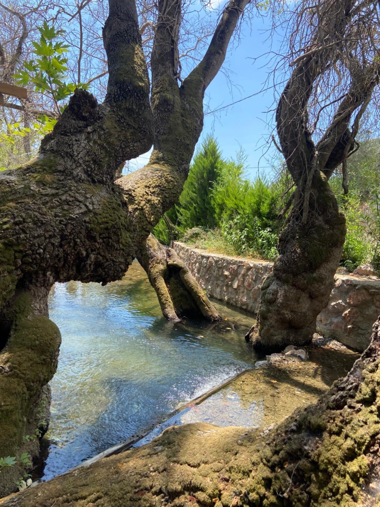 Pavelin Yeri Otel Edremit  Exteriér fotografie